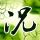 豆瓣